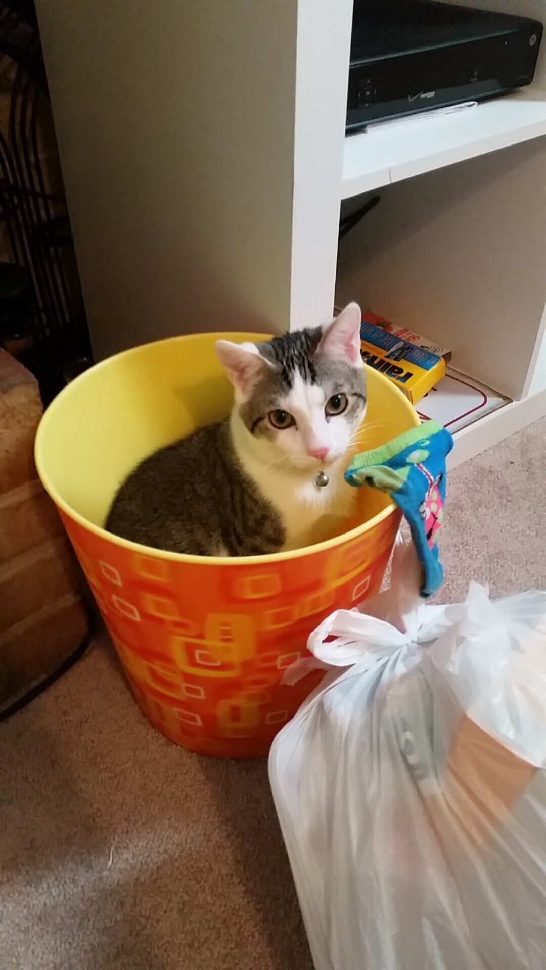 【运动员成长】从新手到冠军:丁俊晖的训练理念与心路历程,丁俊晖是如何练成的