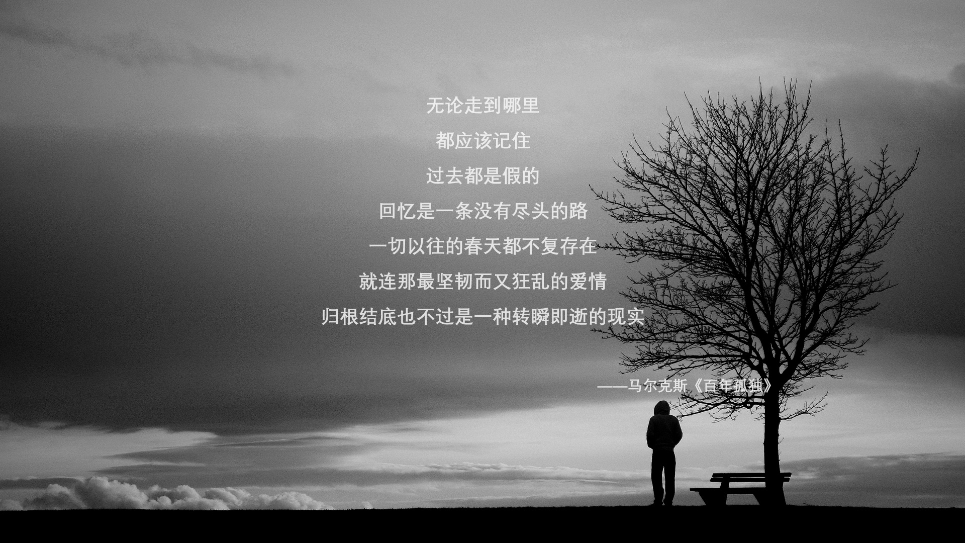 创新科技大揭秘：装备助力WRC车手冲刺巅峰，wrc车手是怎样培训的