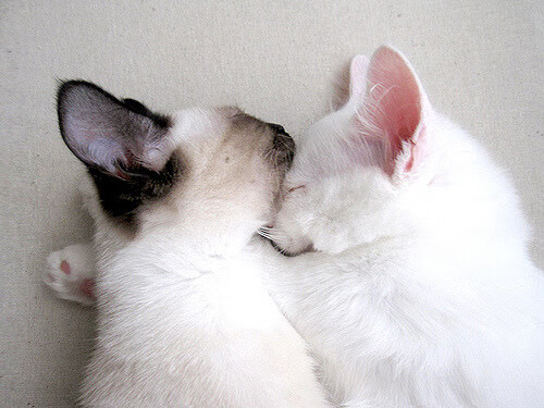 国足封闭训练营注重内部管理提升，国足长期集训