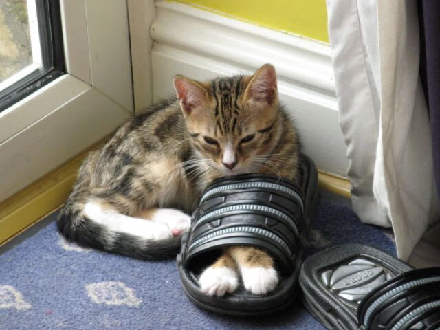 守望先锋 新版本玩法丰富多样，守望先锋 推出新版本