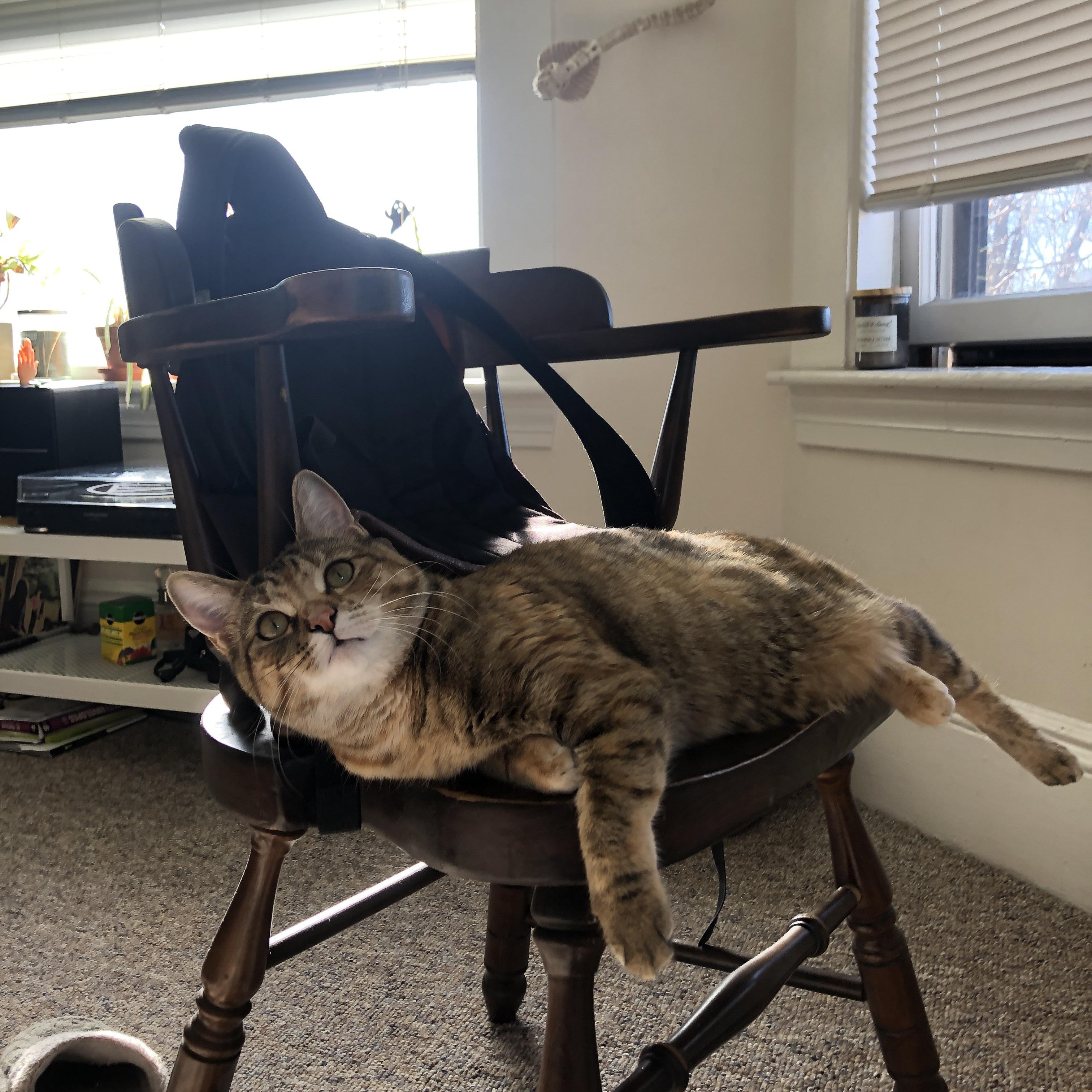 掘金设立“观赛者之声奖”，让球迷影响战术投票