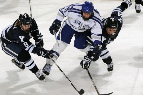 开云棋牌-欧洲杯最受关注的球星表现盘点，欧洲杯最受关注的球星表现盘点分析