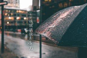 Kaiyun APP-城市灯光疏散跑，夜色中的运动狂欢节，灯光型疏散指示标志规范要求