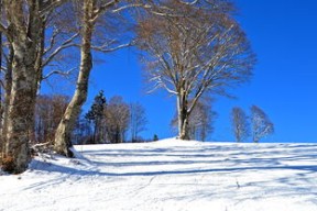 开云真人-谷爱凌滑雪营首次开放公众报名，中国自由式滑雪选手谷爱凌介绍