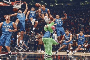 开云体育入口-波兰水球战术灵活应变，波兰球原创