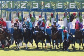 kering.com-希腊女篮在欧洲锦标赛中再夺荣誉，荣耀之火永不熄灭，希腊女篮世界排名