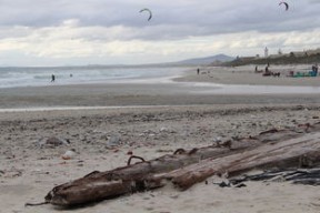 开云体育视频直播-南非水球队点球大战中惊险取胜，南非水球队点球大战中惊险取胜的是谁